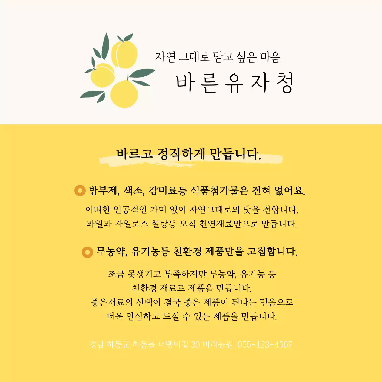 일러스트 유자청 엽서