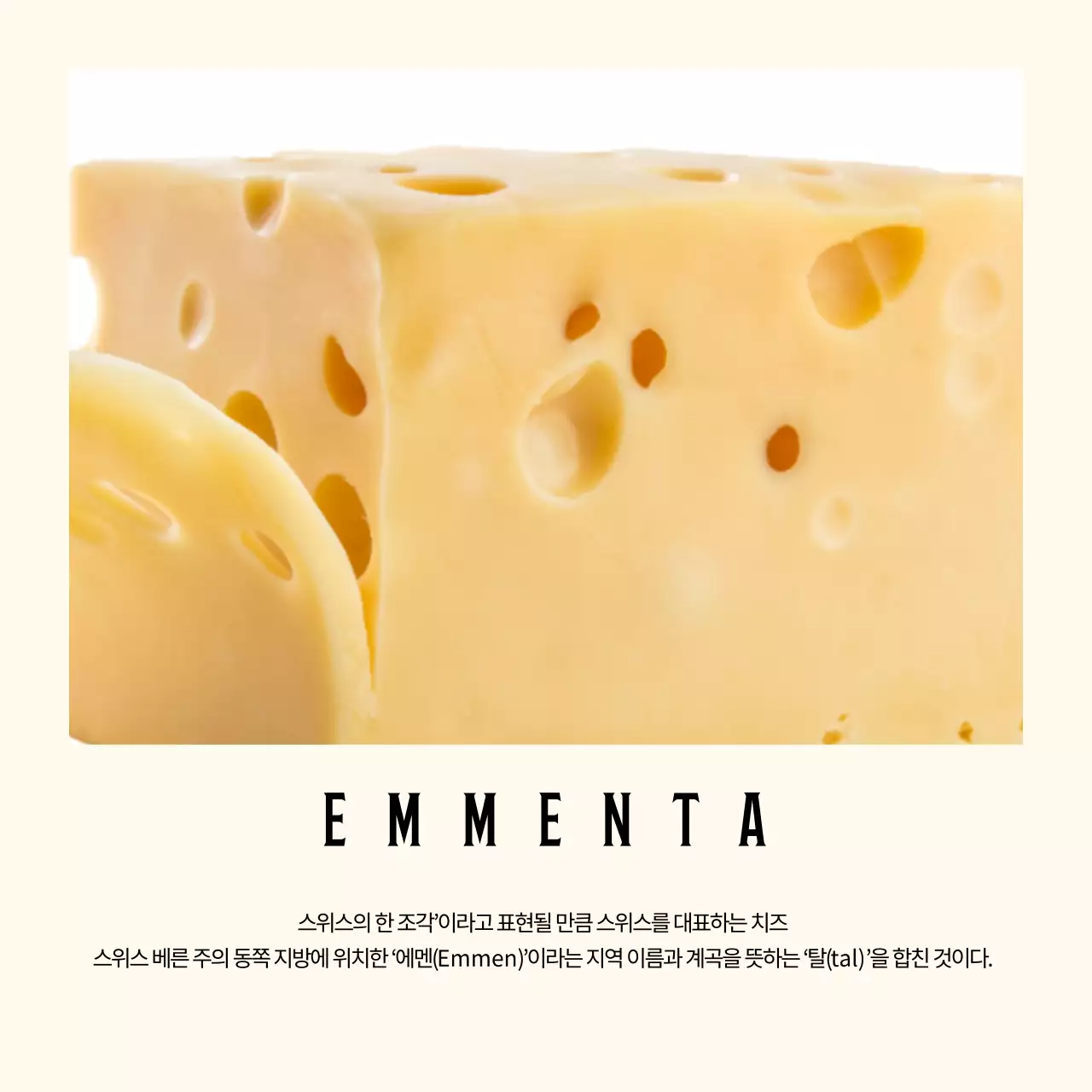 심플한 파스텔 배경의 치즈 브랜드 설명 정사각