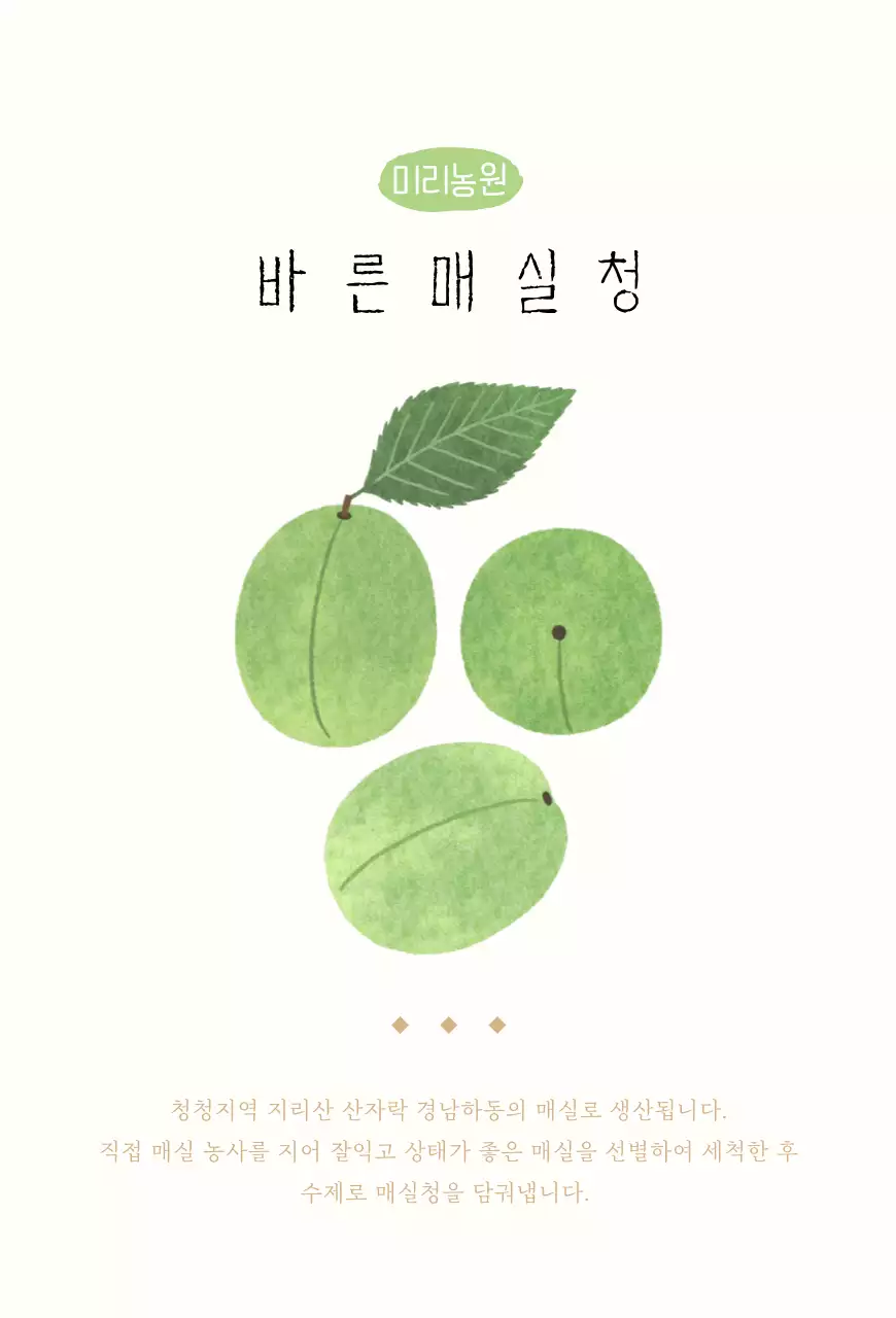 일러스트 매실청 엽서