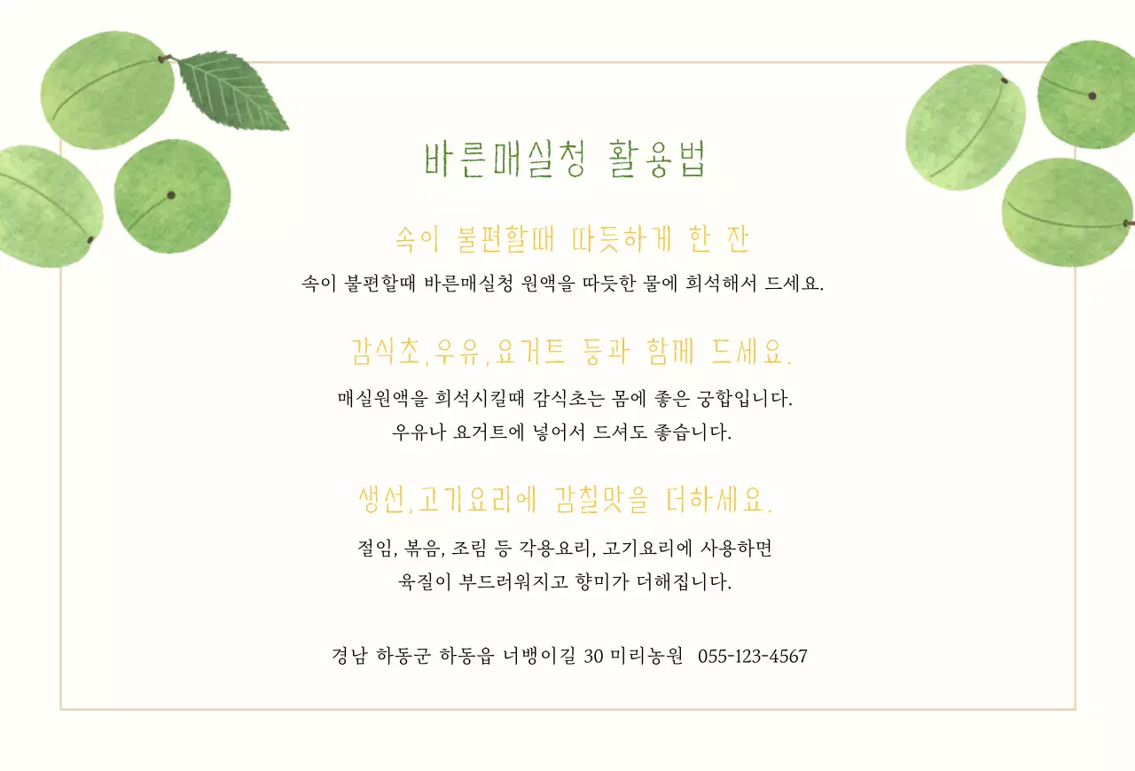 일러스트 매실청 엽서