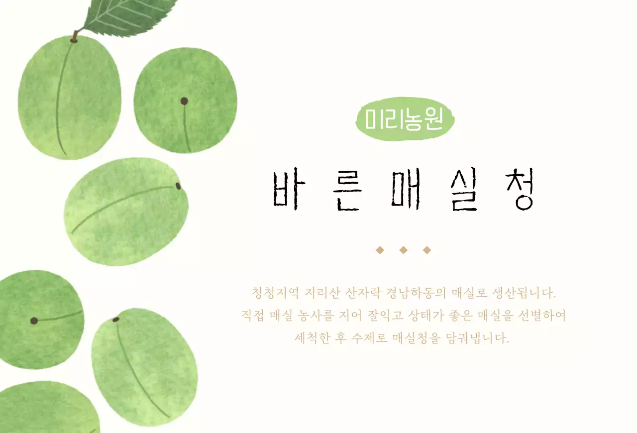 일러스트 매실청 엽서