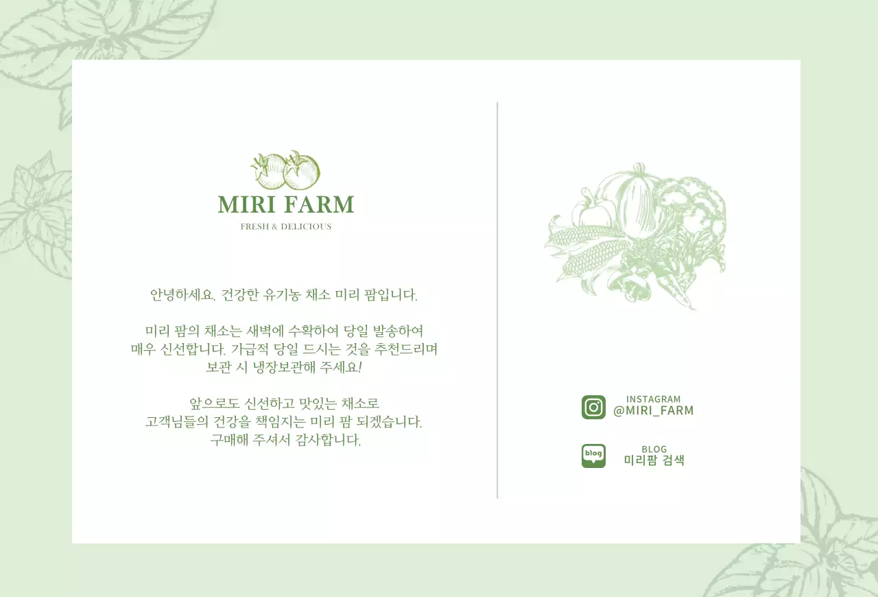 연두색의 야채 일러스트 엽서