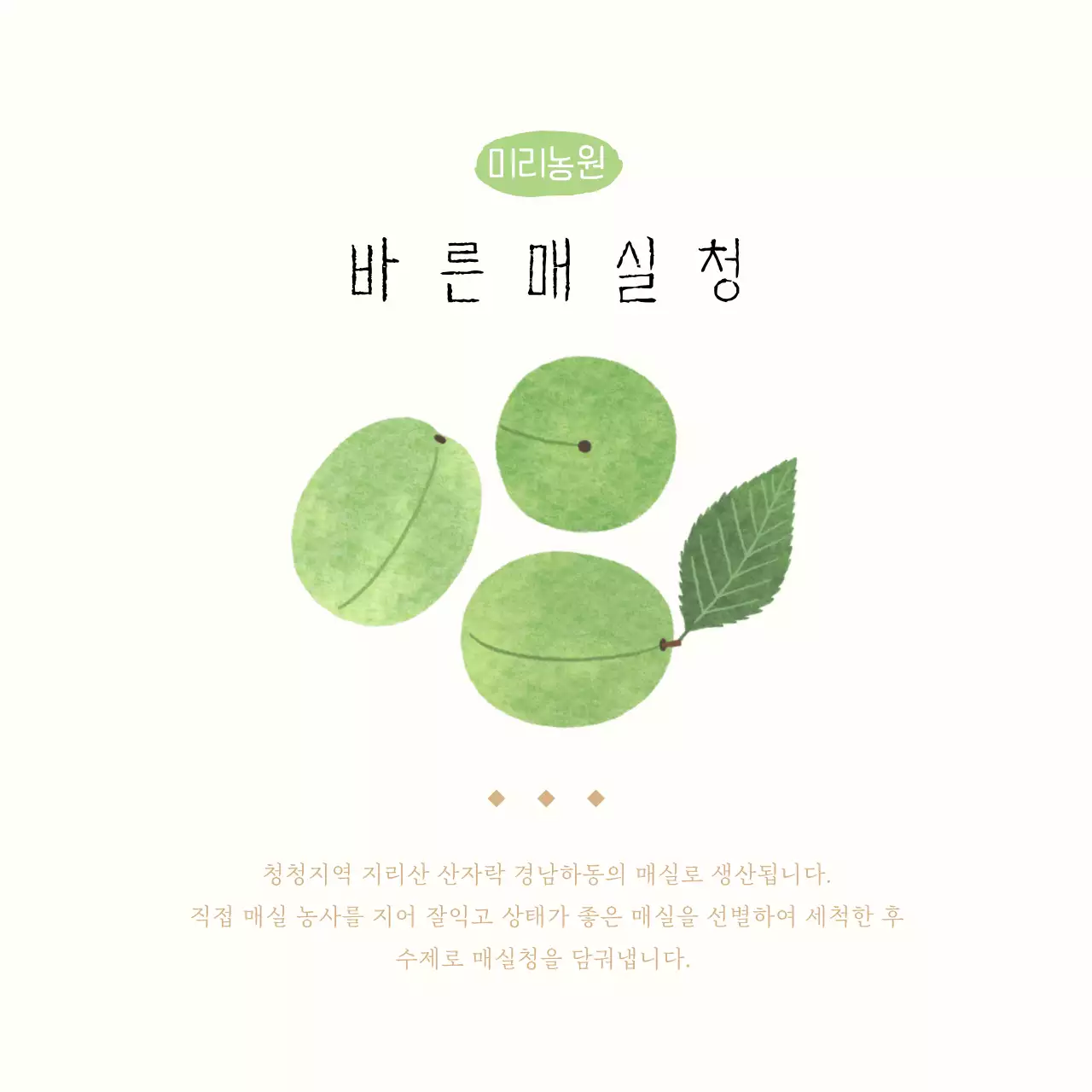 일러스트 매실청 엽서