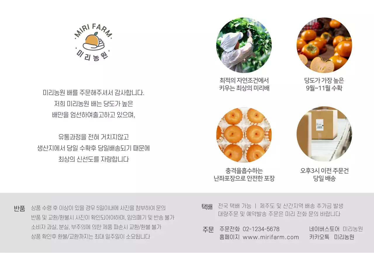 과일사진 제품설명 과수원용 엽서카드