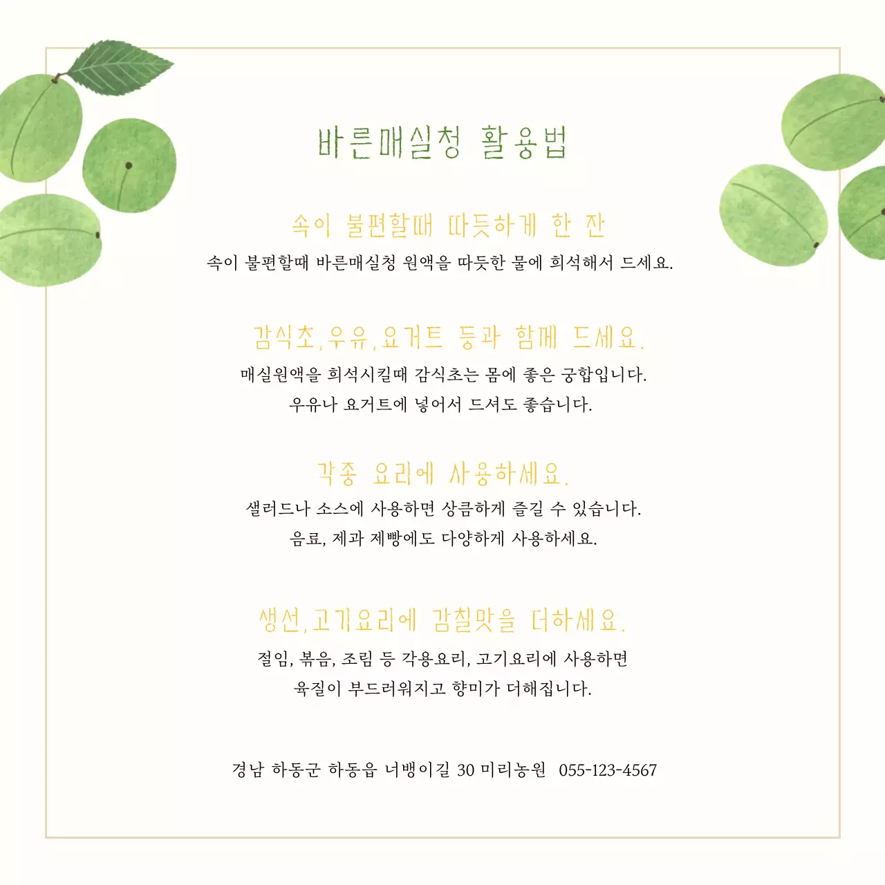 일러스트 매실청 엽서