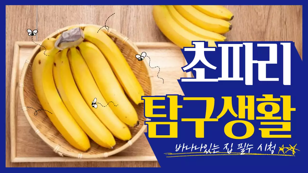 파란색과 노란색의 바나나 사진 초파리 탐구 생활