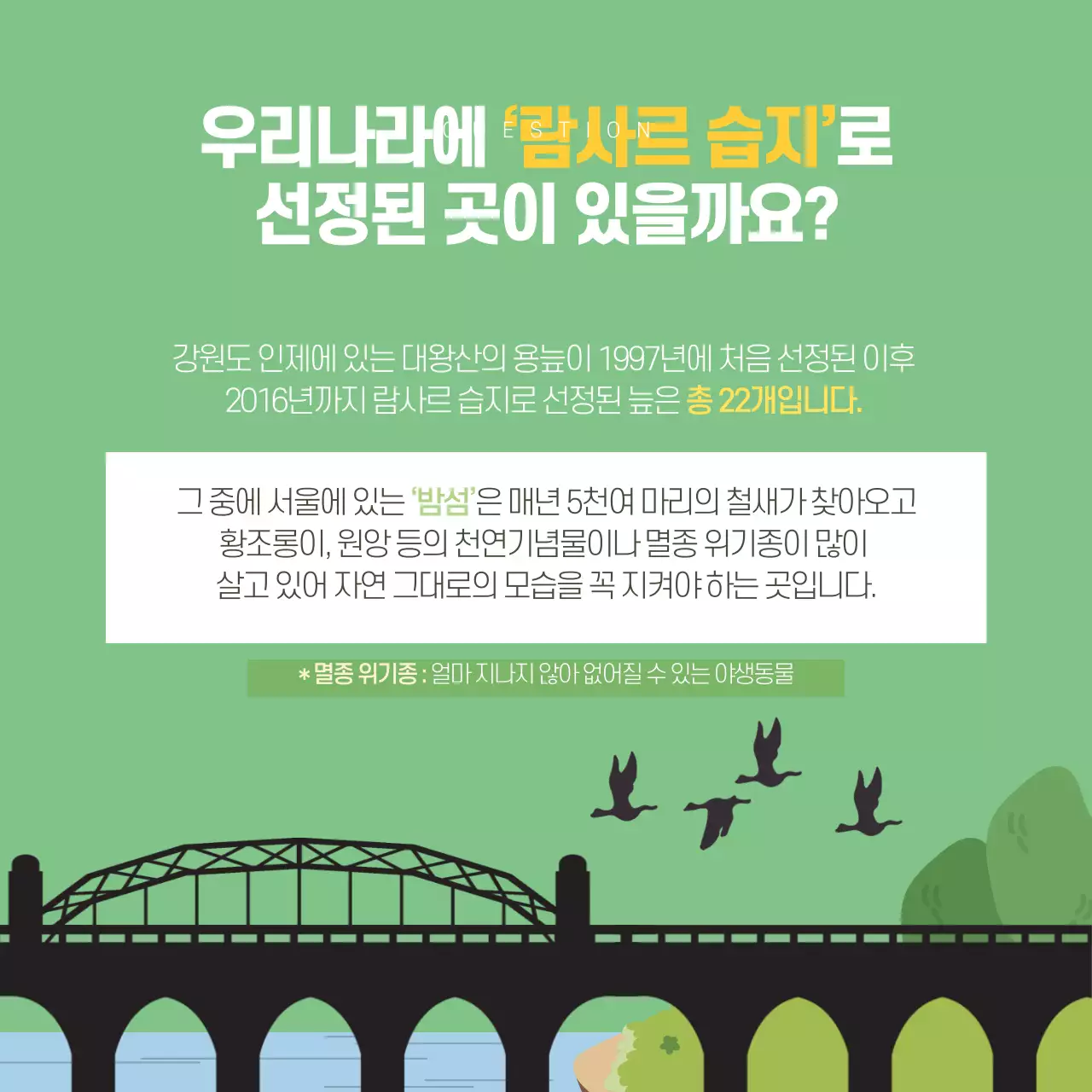 두클래스 세계 습지의 날 카드뉴스 디자인