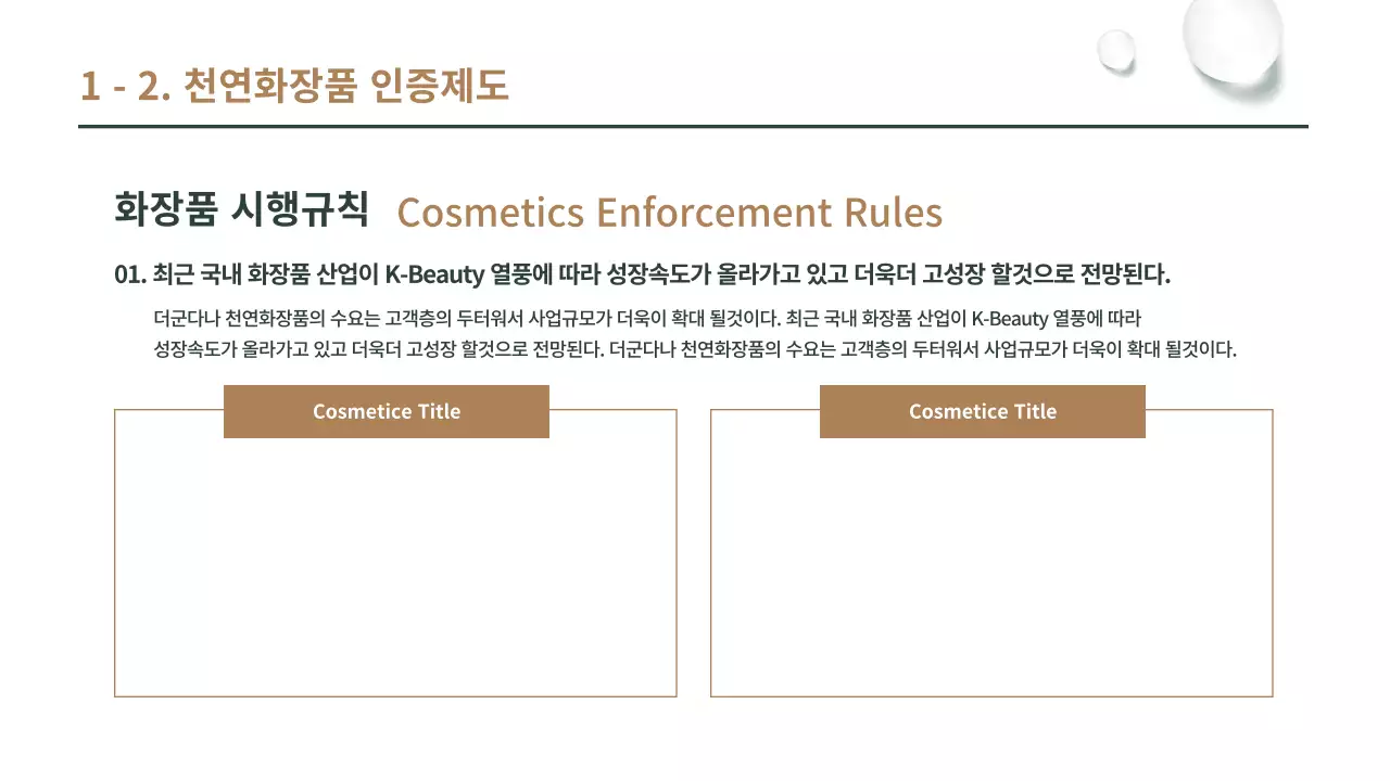 갈색과 녹색의 천연 화장품 사업계획서 프리젠테이션