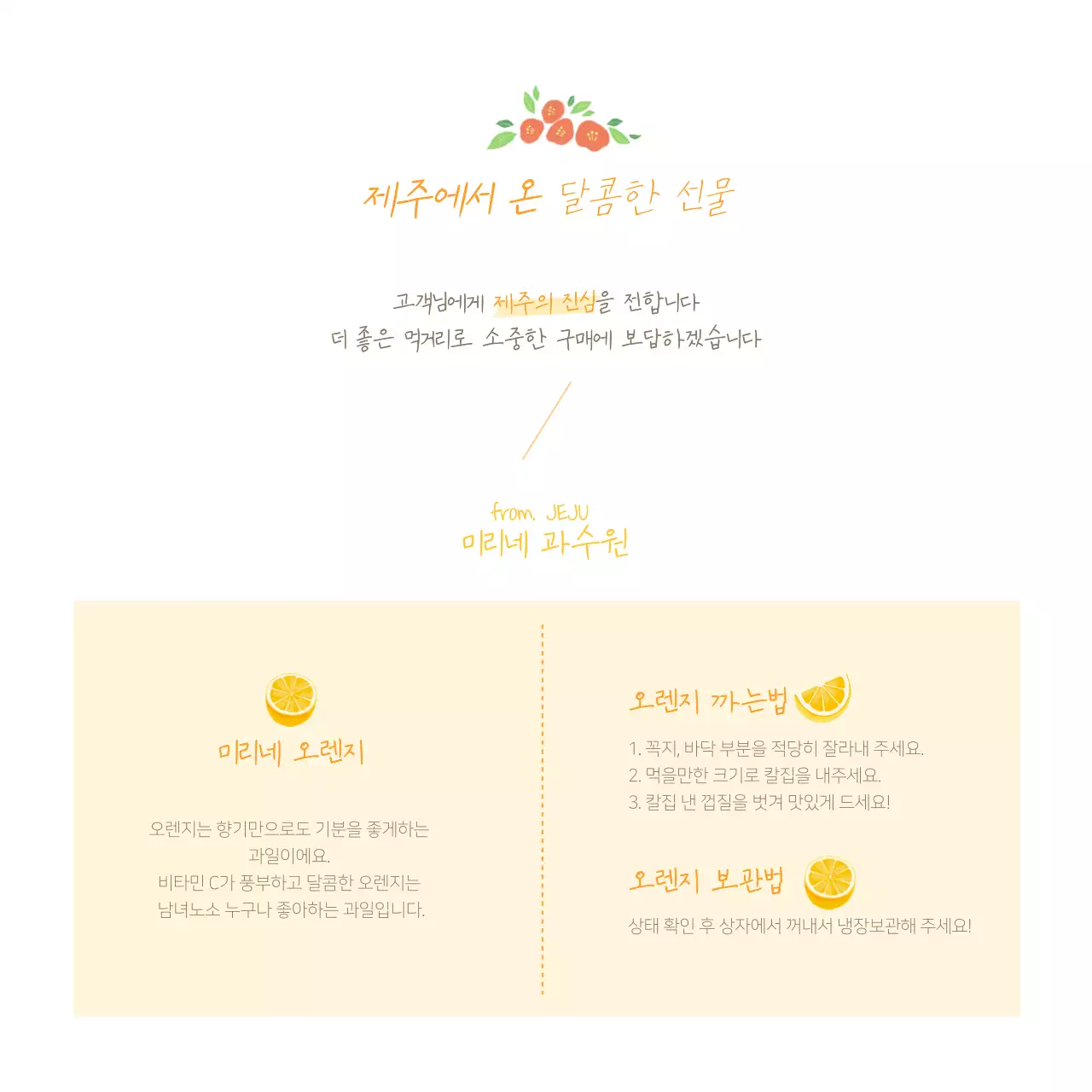 노랑색의 제주도 오렌지 판매 엽서