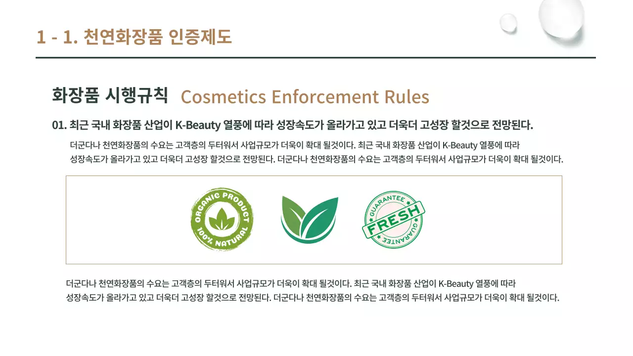 갈색과 녹색의 천연 화장품 사업계획서 프리젠테이션