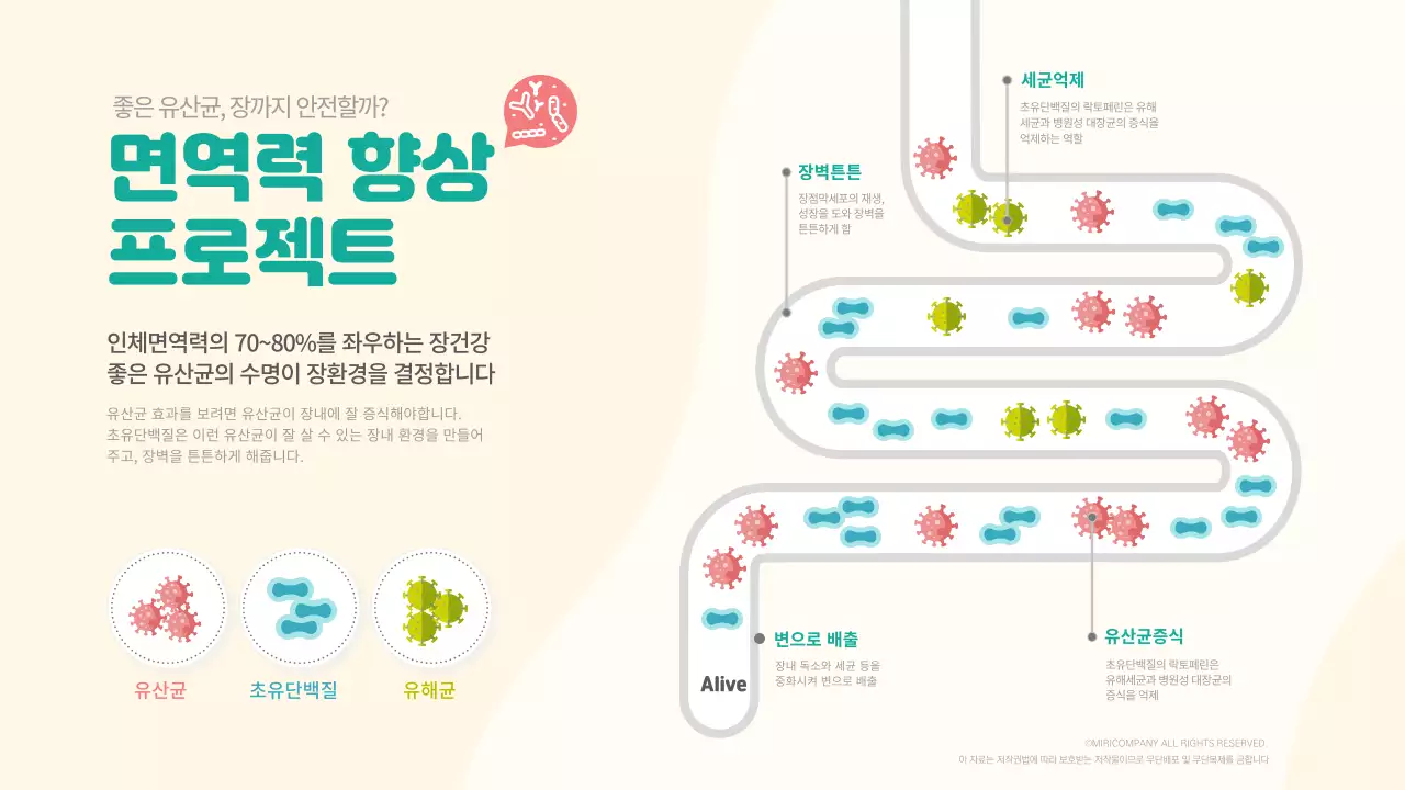 면역력 향상을 위한 유산균 로드맵