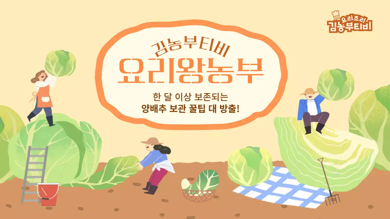 옐로우 그린톤의 유기농 컨셉의 양배추 보관 방법 내용