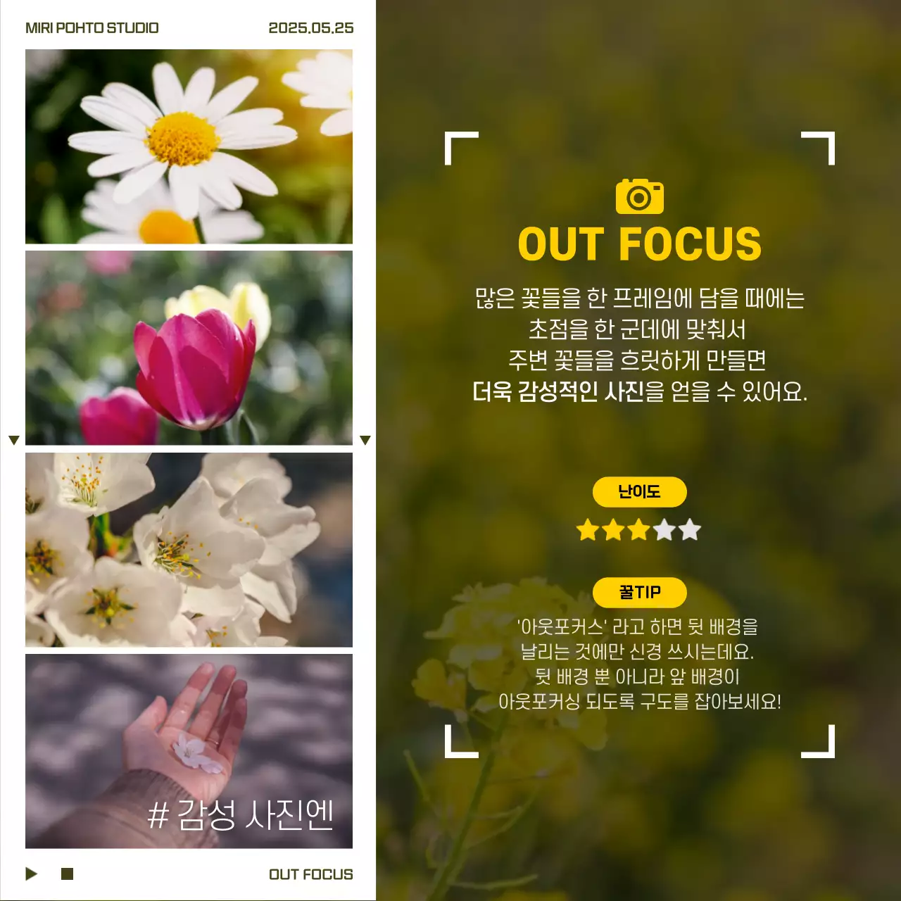 인생네컷 스타일의 사진 잘 찍는 꿀팁  카드뉴스 디자인