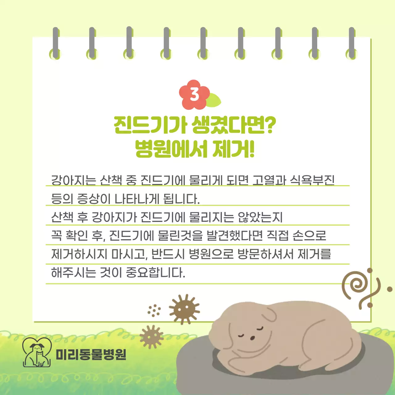 파스텔톤의 강아지 봄철 건강관리 정보제공