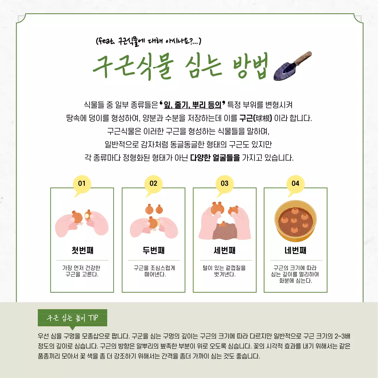 초록색과 노랑의 자연적인 허브 식물 키우기 정보