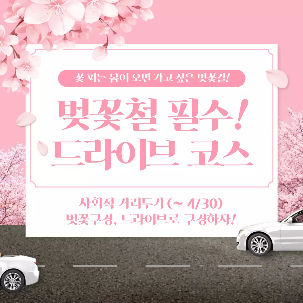 분홍색 봄 테마 벚꽃철 드라이브 코스