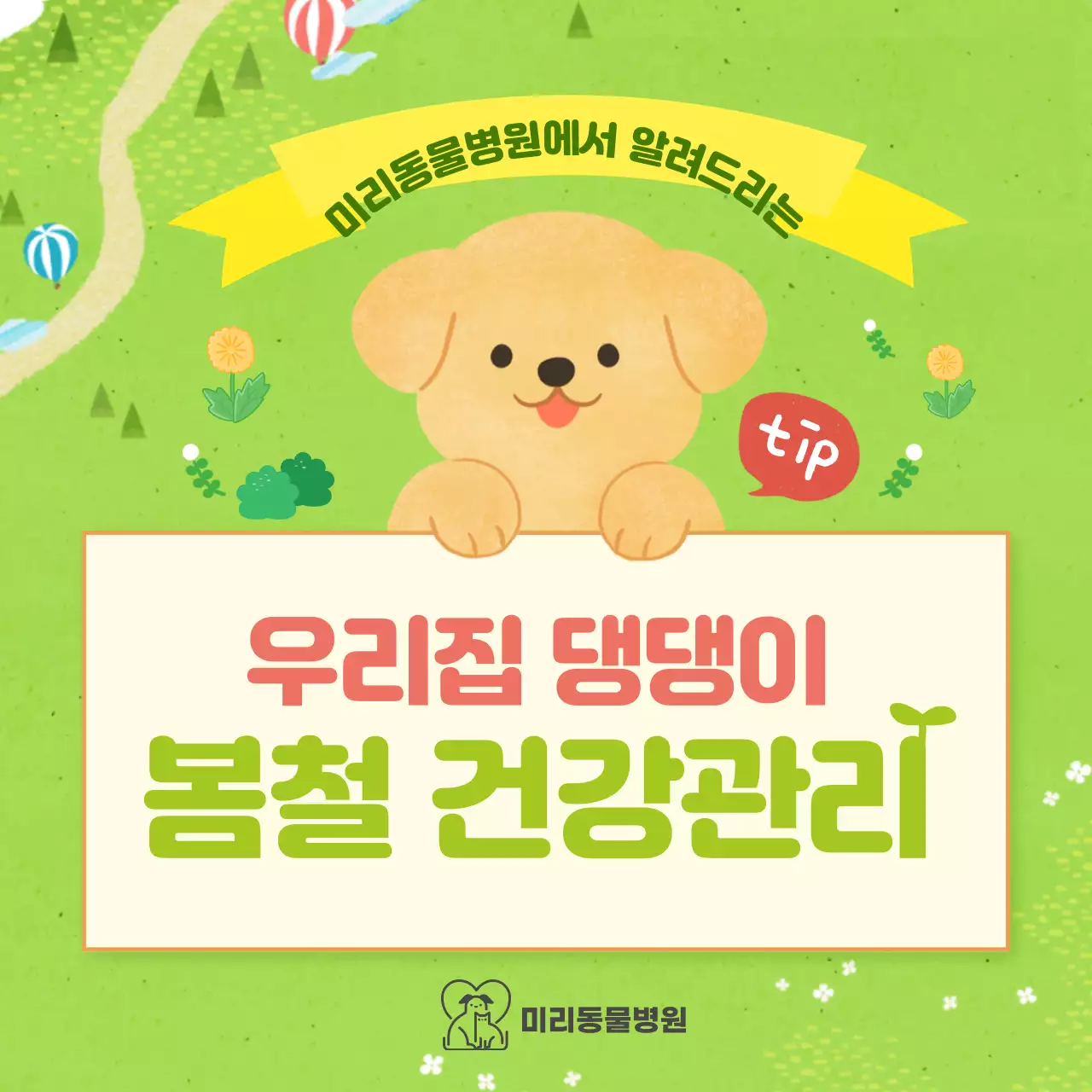 파스텔톤의 강아지 봄철 건강관리 정보제공