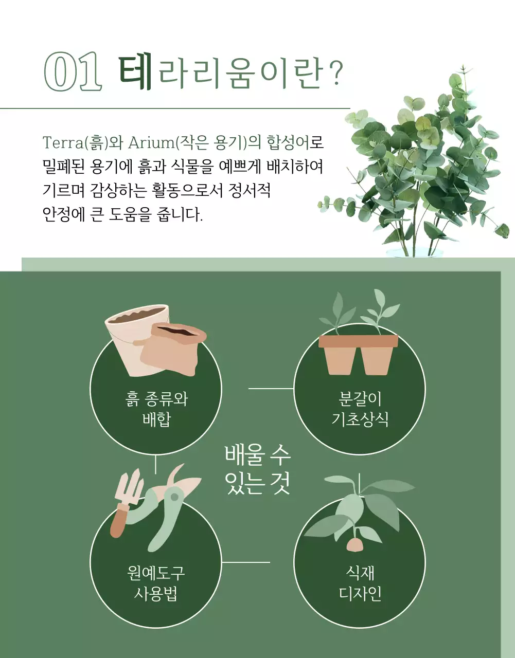 올리브색의 식물테마의 클래스소개