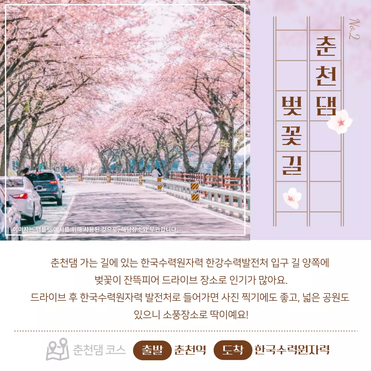 파스텔 톤의 벚꽃 드라이브 명소