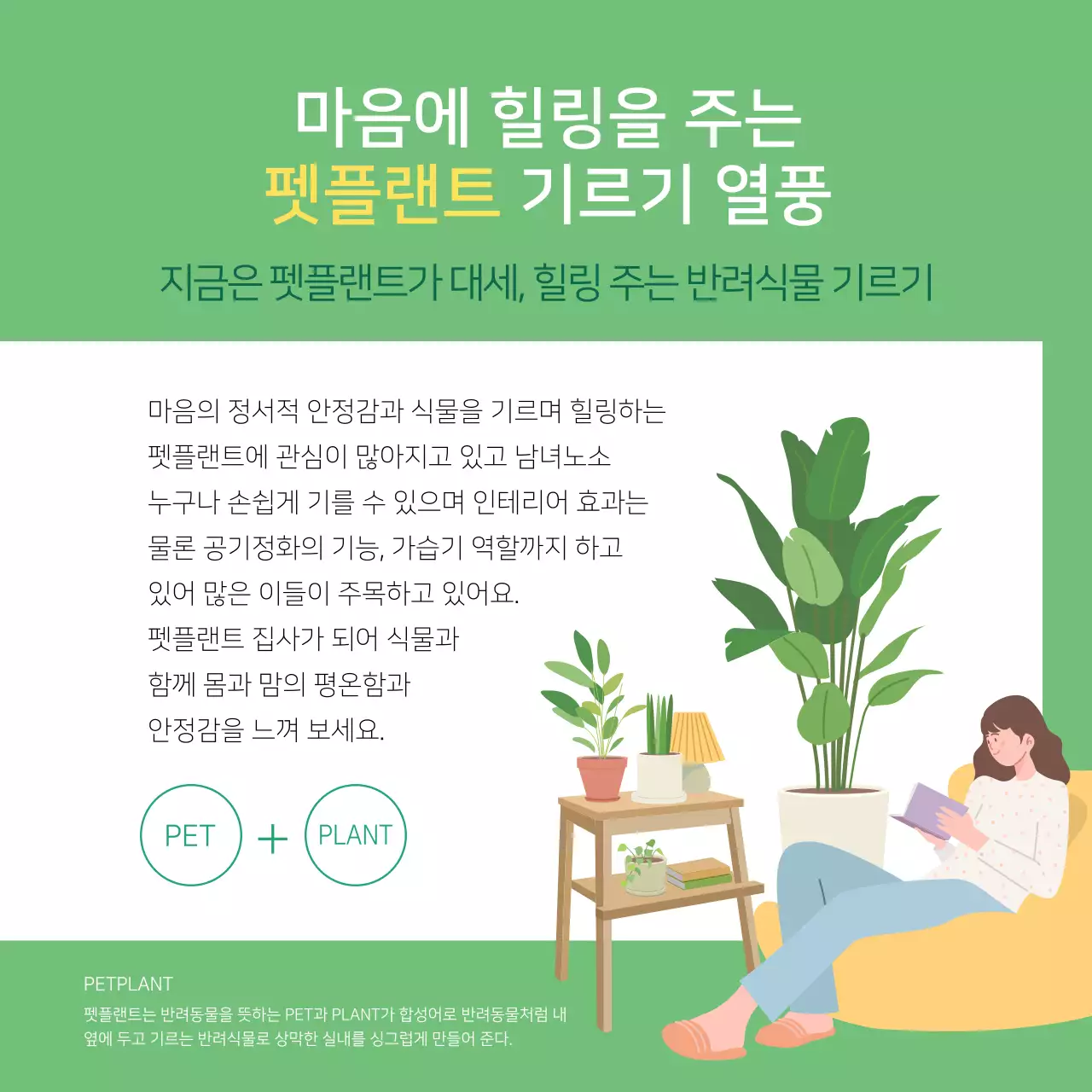 초록색의 일러스트 반려식물 정보제공