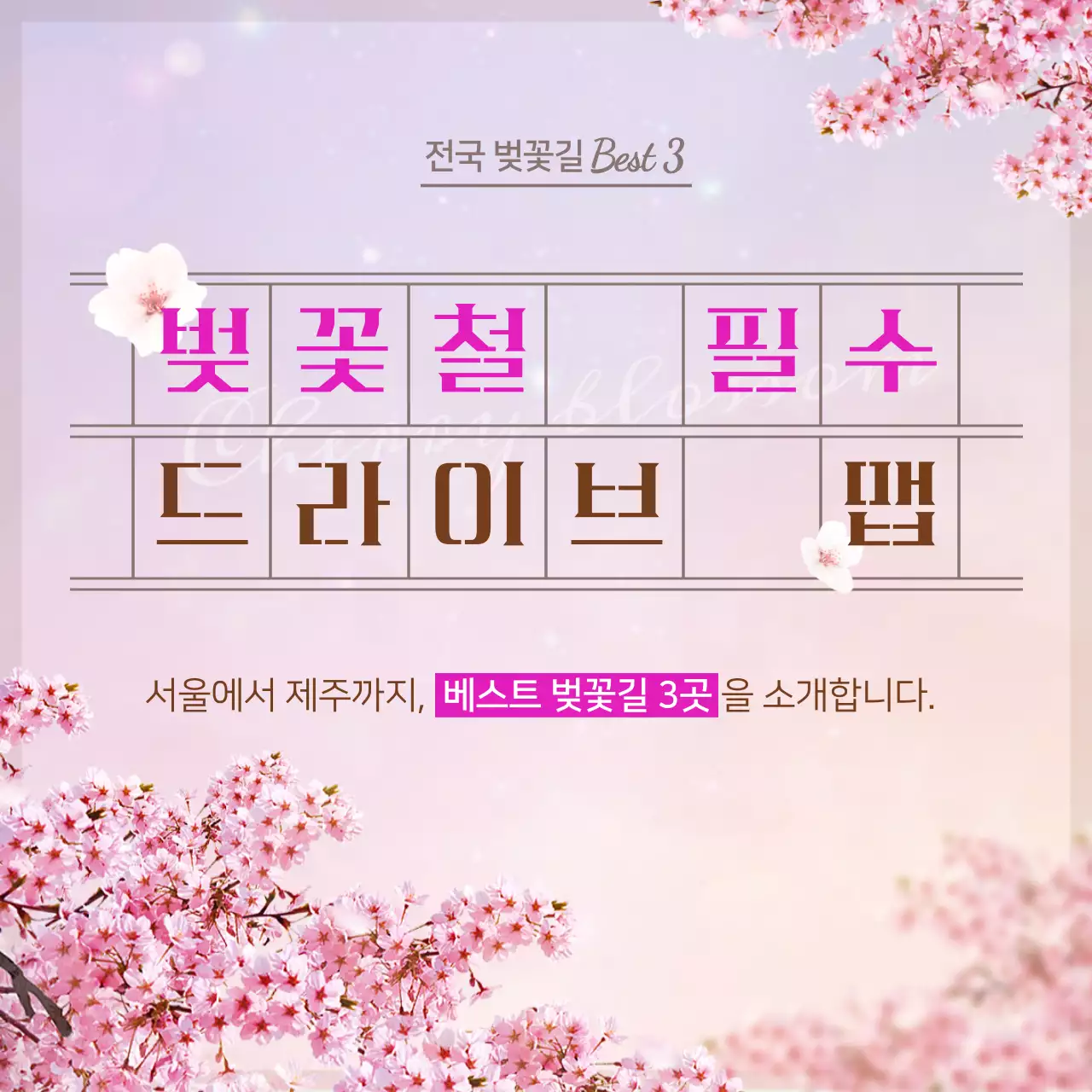 파스텔 톤의 벚꽃 드라이브 명소