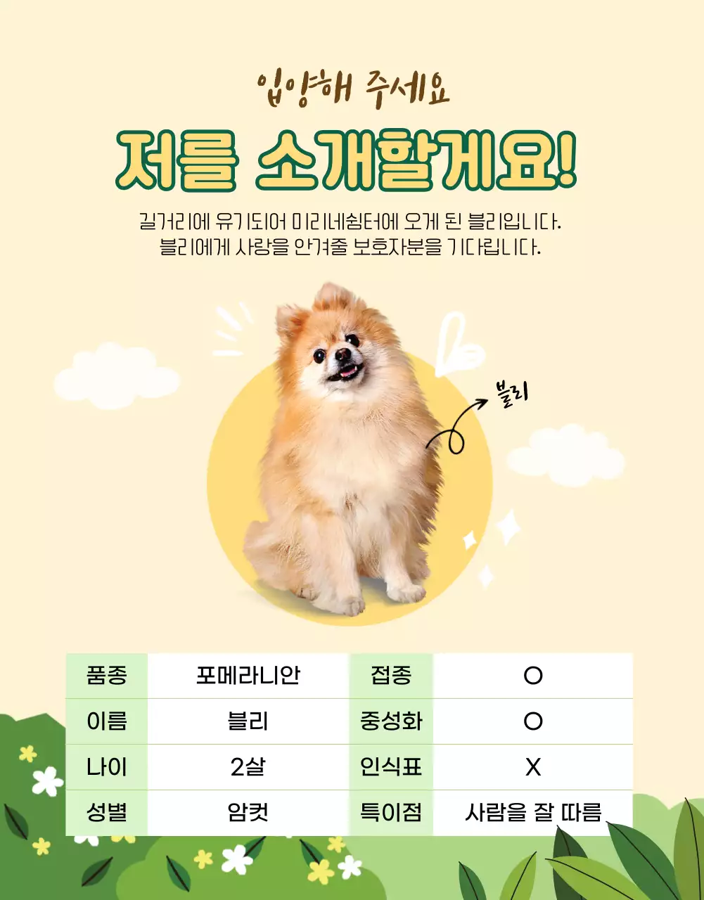 초록과 노랑의 반려동물 입양 안내 상세페이지