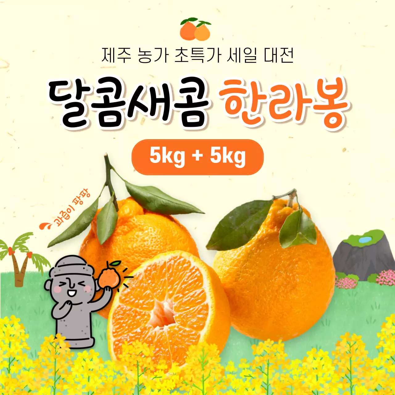 노란색과 주황색의 한라봉 세일 이벤트 홍보