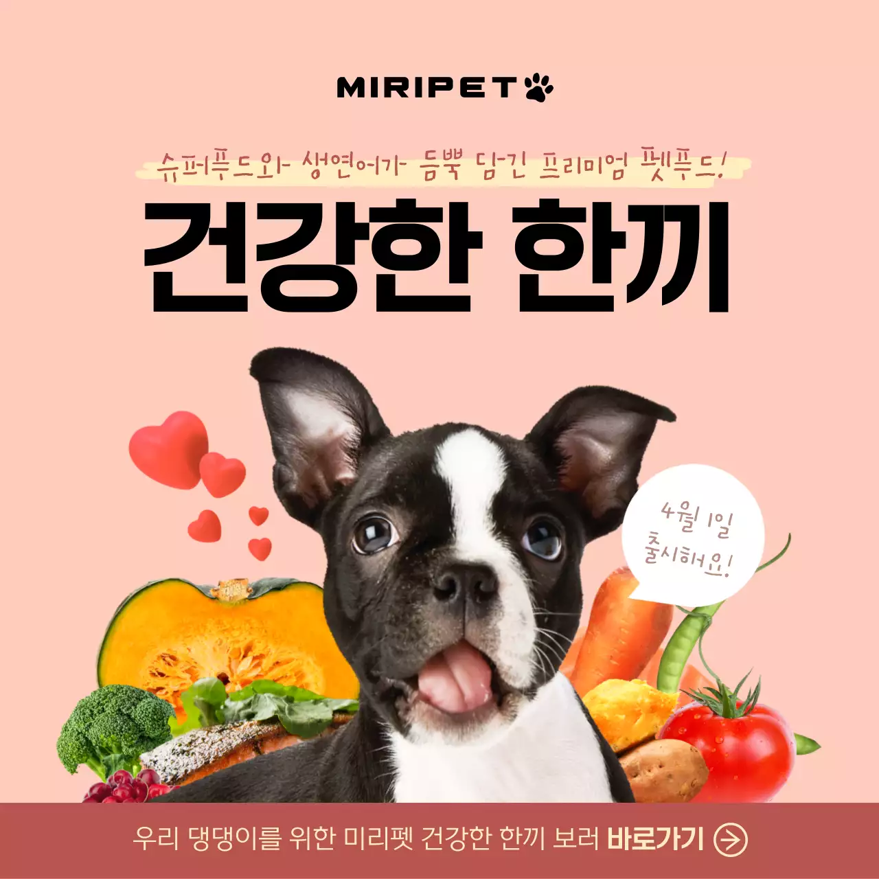 분홍색 배경에 귀여운 강아지와 식재료 사진이 있는 펫푸드 홍보