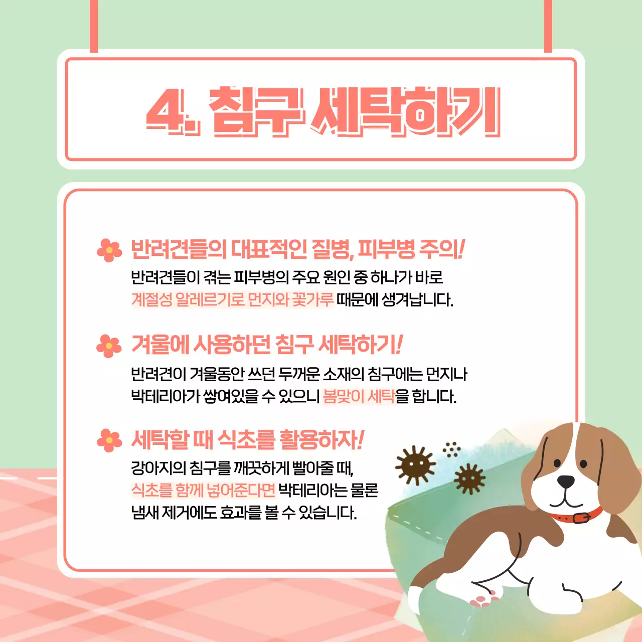 봄 배경의 귀여운 강아지 건강관리법 카드뉴스