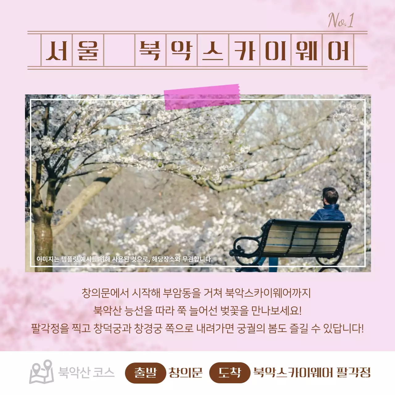 파스텔 톤의 벚꽃 드라이브 명소