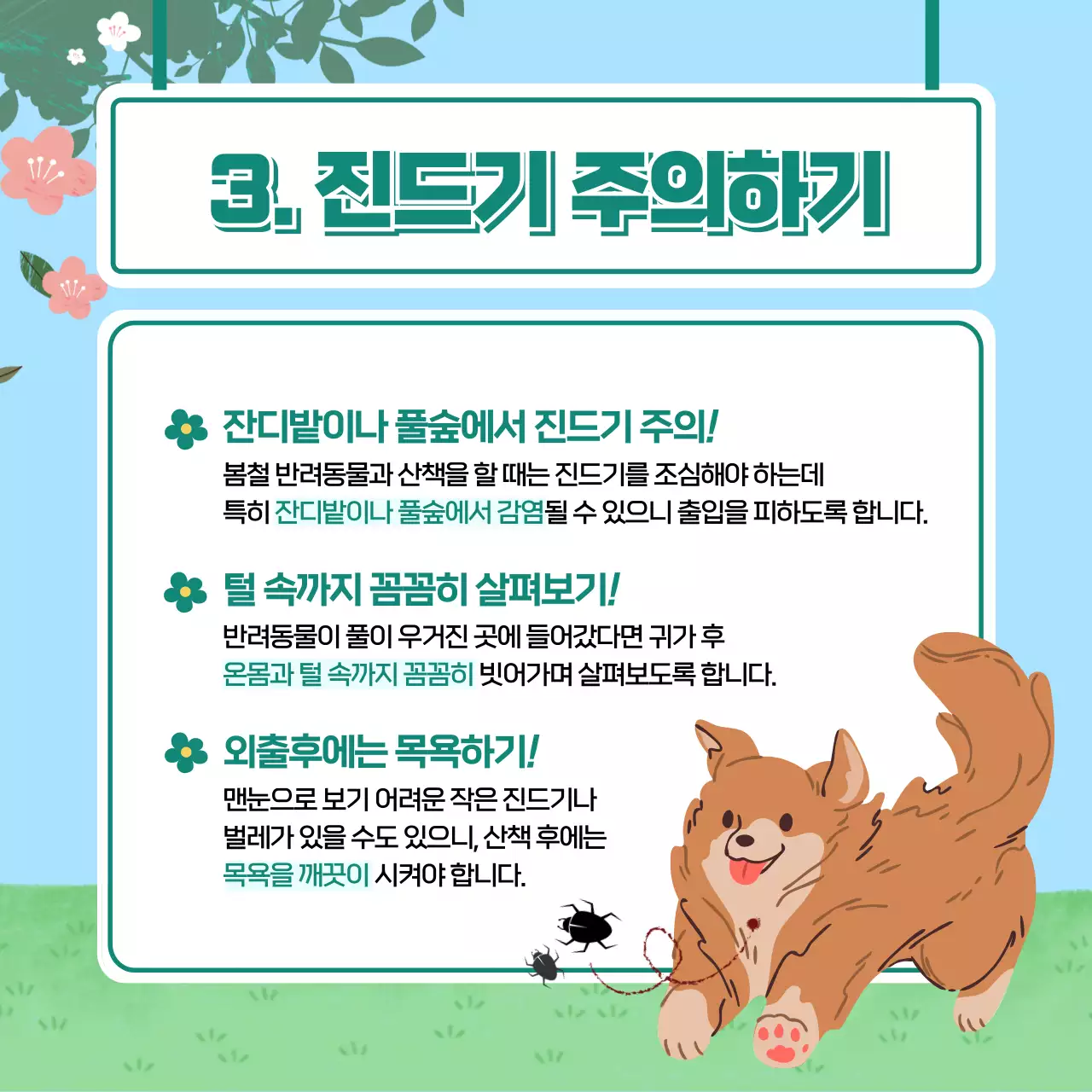 봄 배경의 귀여운 강아지 건강관리법 카드뉴스
