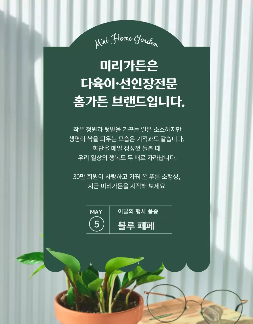 그린컬러 사랑스러운 다육이 전문 쇼핑몰(상세페이지)