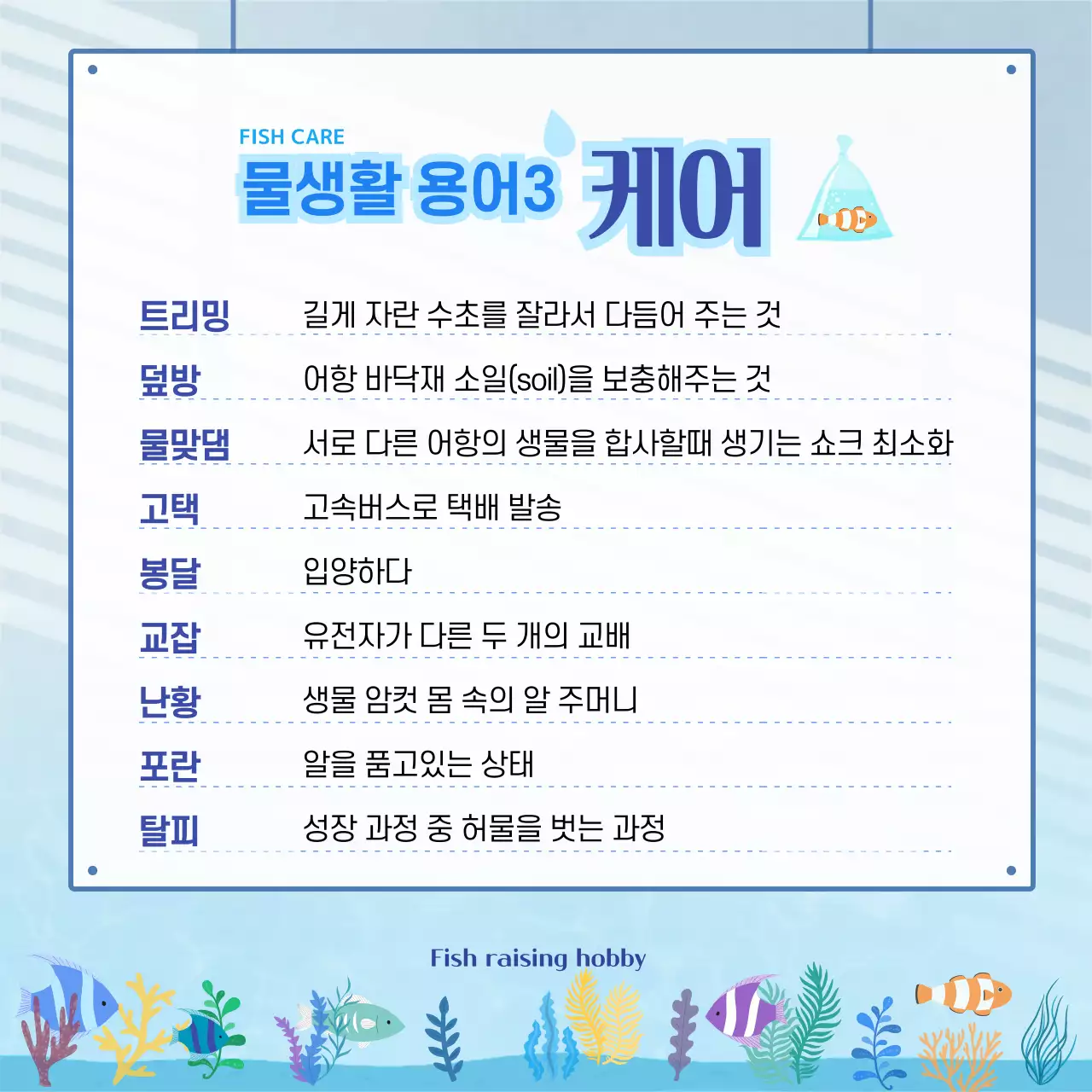 파란색 물결무늬 물고기가 많은 수족관 배경의 물생활 용어사전 카드뉴스