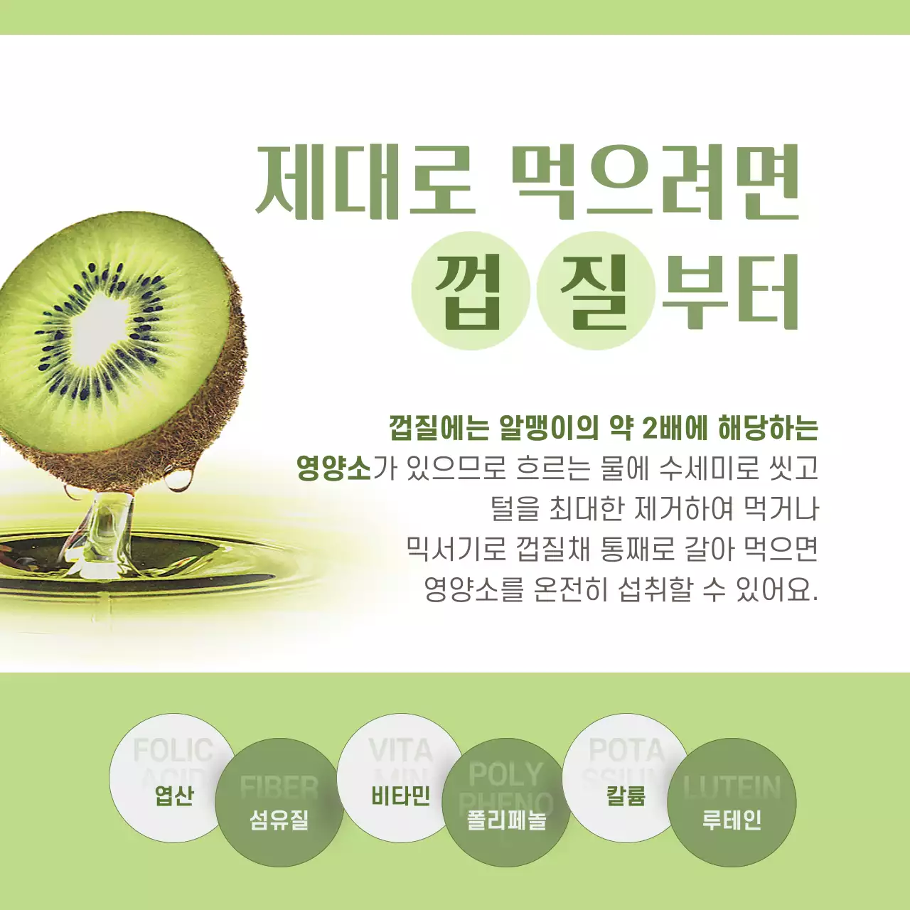 초록색 사진과 캐릭터 조합 깔끔한 컨셉의 키위정보공유 테마