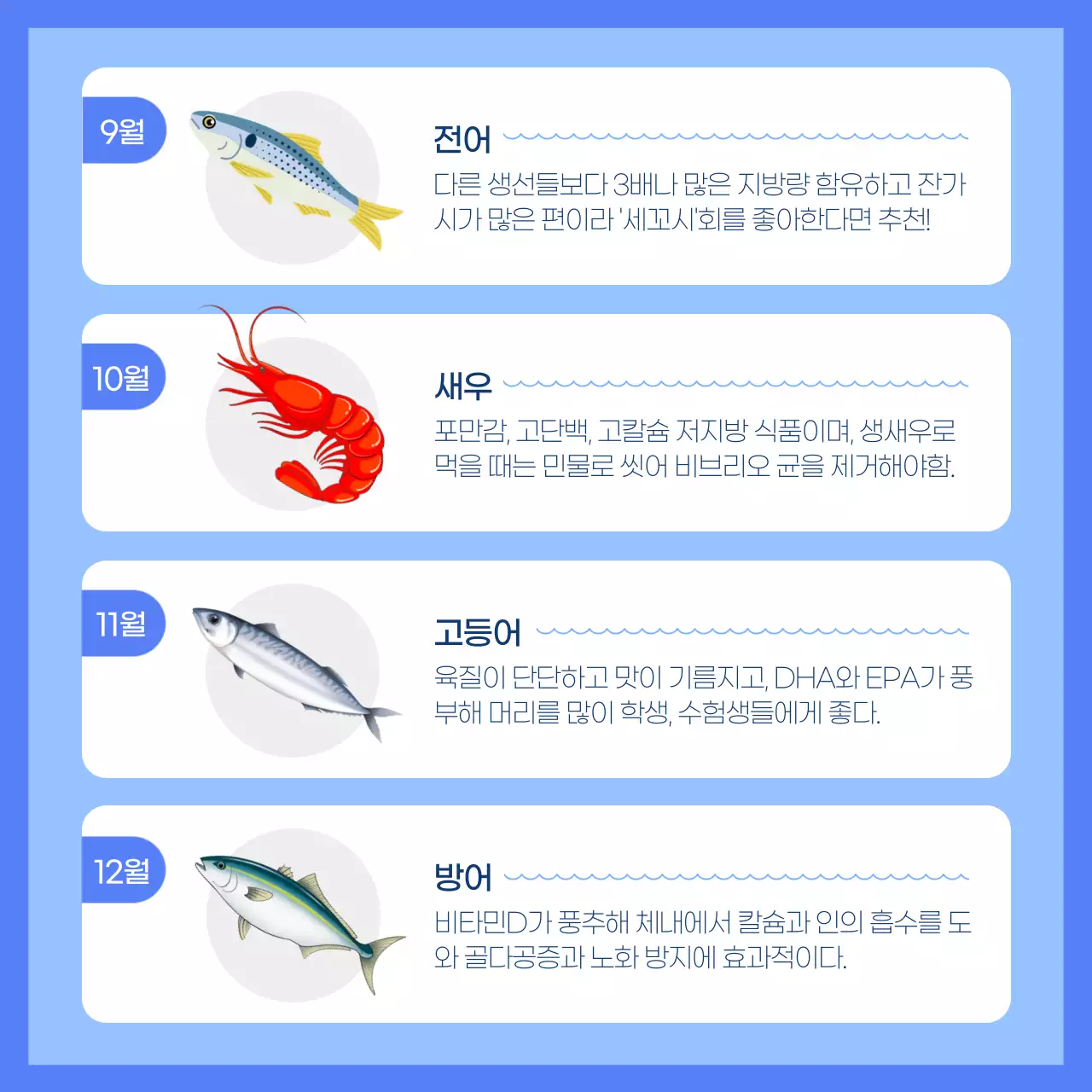 파랑과 심플한 제철 회 섭취방법 안내서