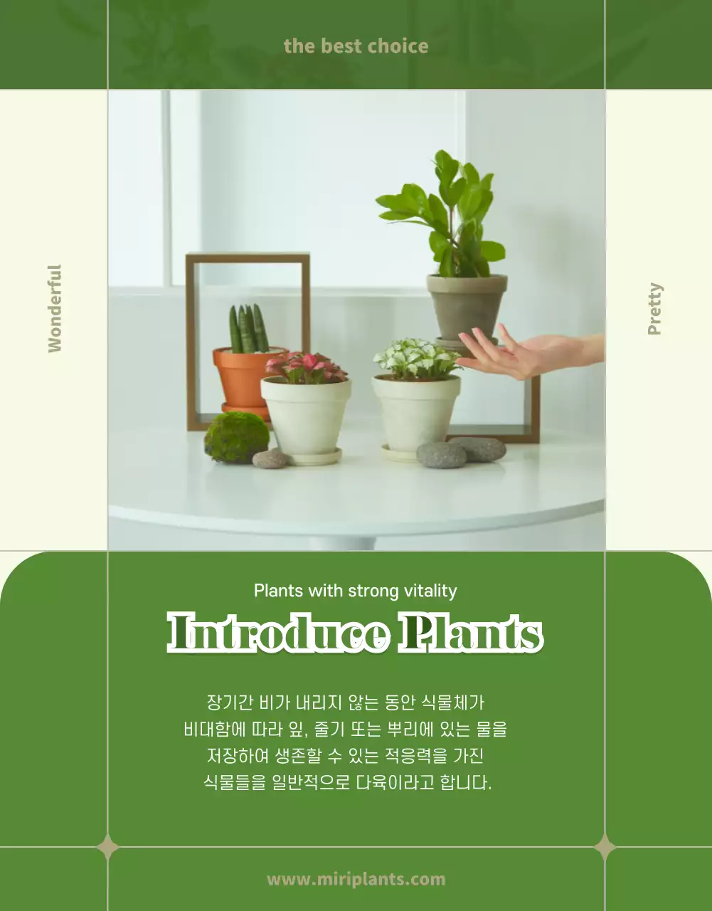 초록색과 베이지색의 다육이 상세페이지