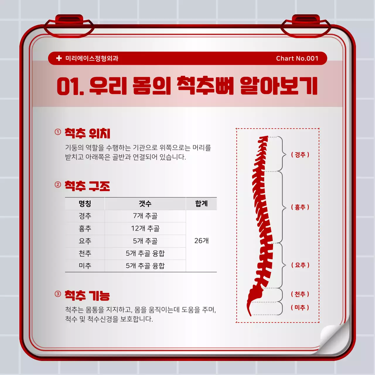 빨간색과 하얀색의 철제 구급상자 컨셉 허리디스크 정보 안내 및 병원 홍보 