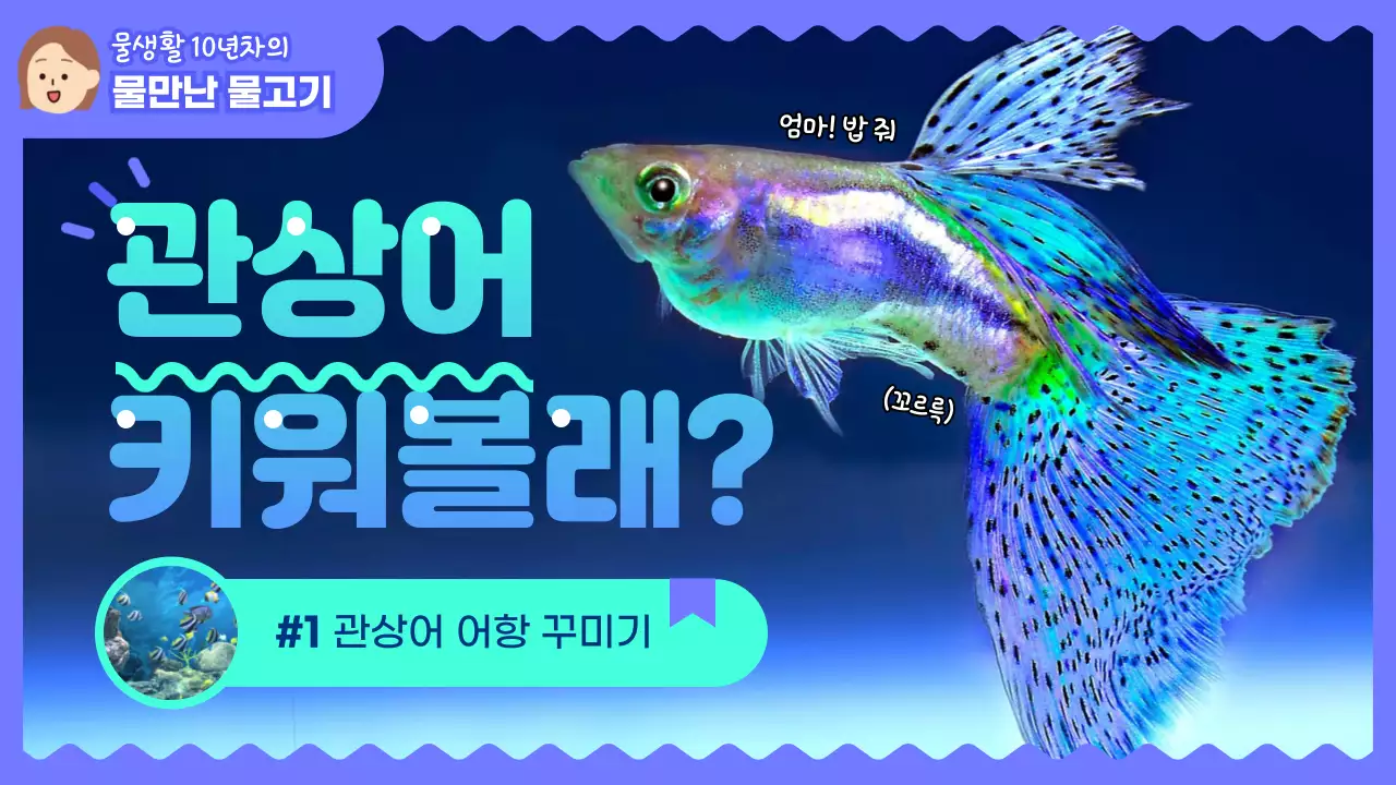 보라색과 민트색의 귀여운 관상어 키우기