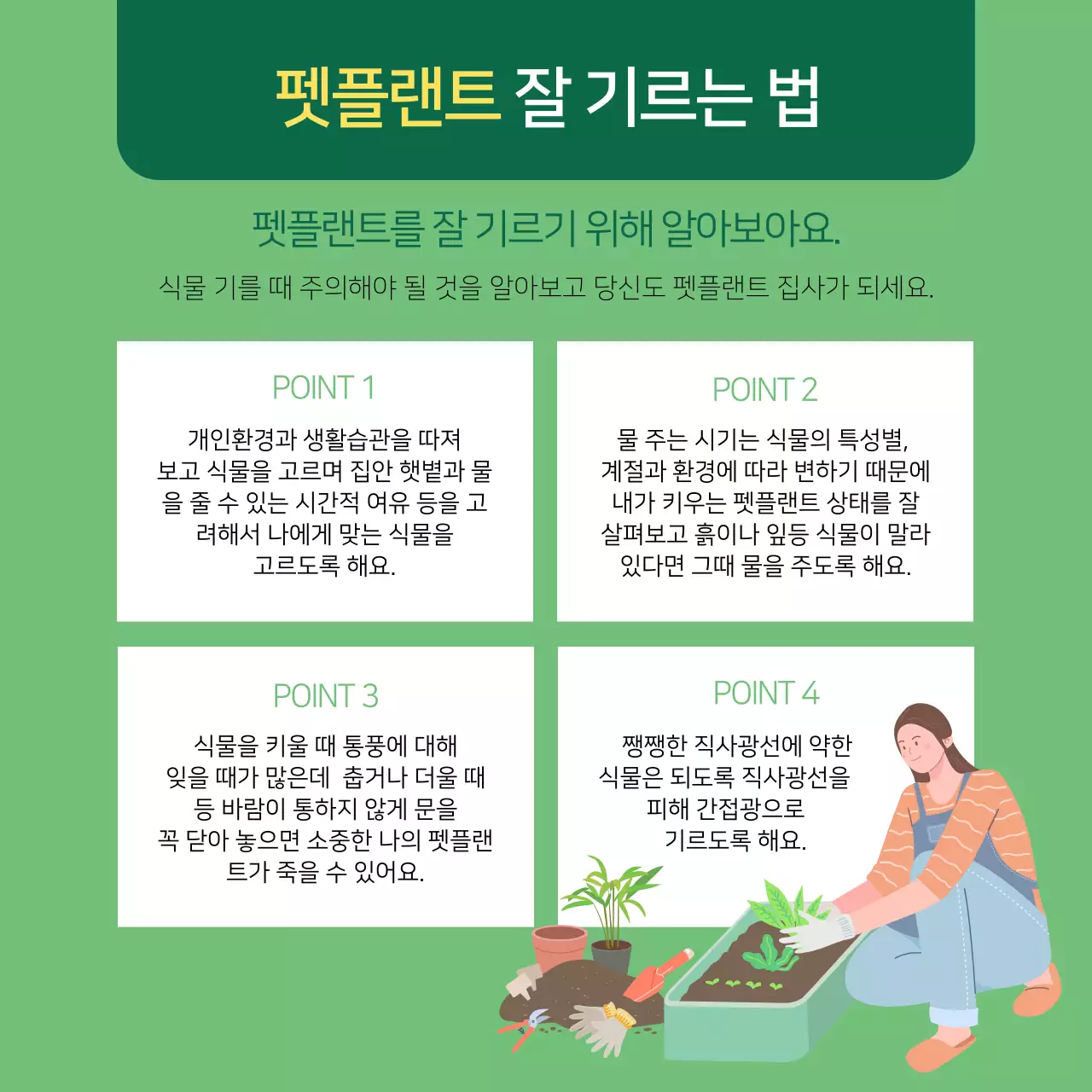 초록색의 일러스트 반려식물 정보제공