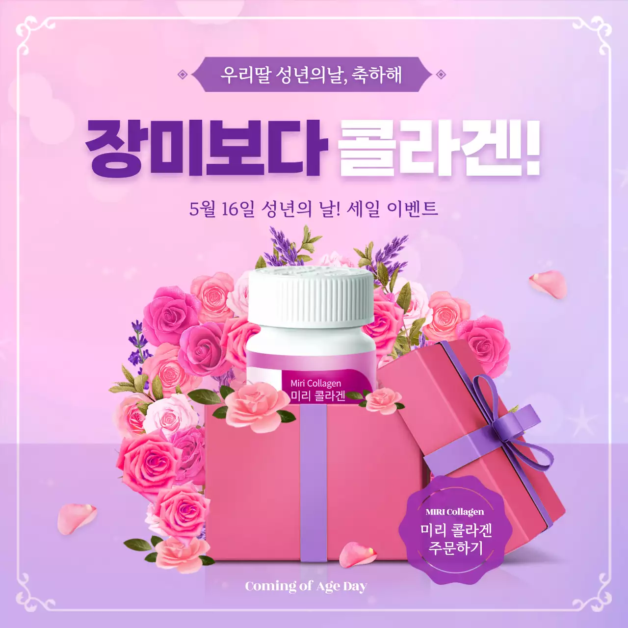 핑크색과 보라색의 여성스러운 느낌의 장미꽃 배경 성년의날 콜라겐 이벤트