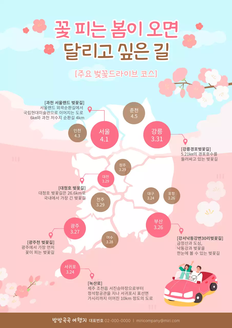 핑크색의 벚꽃 개화시기 드라이브 코스 인포그래픽