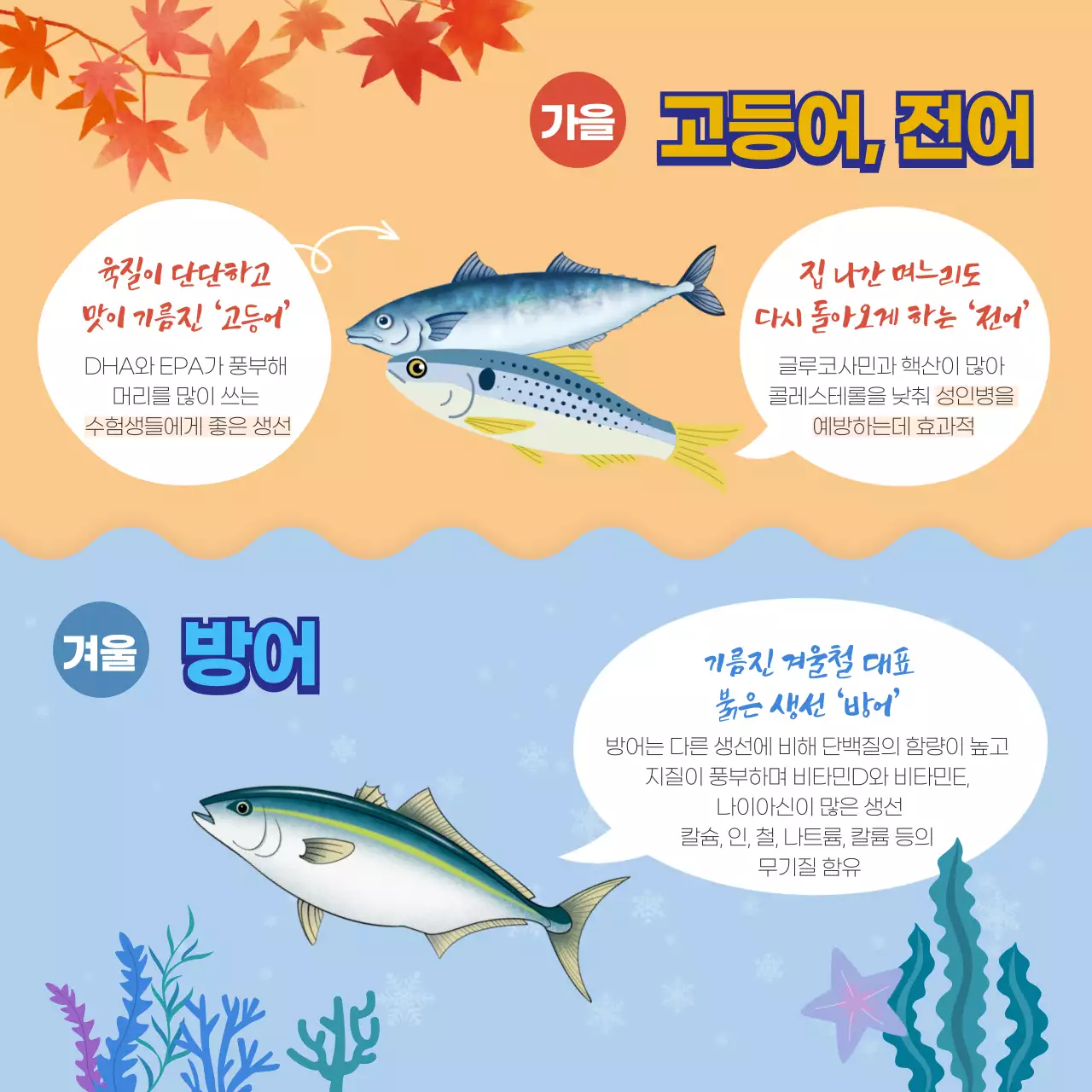 파란색 계절별 제절회 섭취가이드