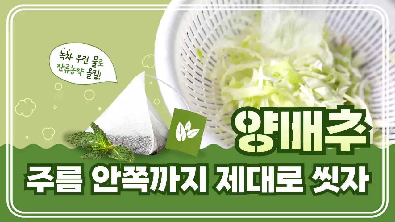 올리브색 이미지 위주 컨셉의 양배추세척 테마