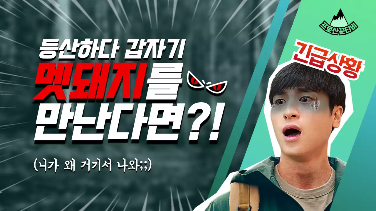 초록색과 빨간색 긴급한 분위기의 위급사항 대처방안 공유