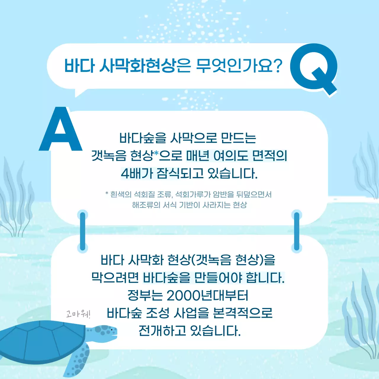 하늘색의 바다숲과 바다식목일 내용 안내