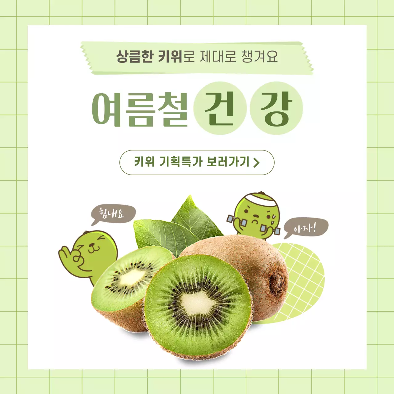 초록색 사진과 캐릭터 조합 깔끔한 컨셉의 키위정보공유 테마