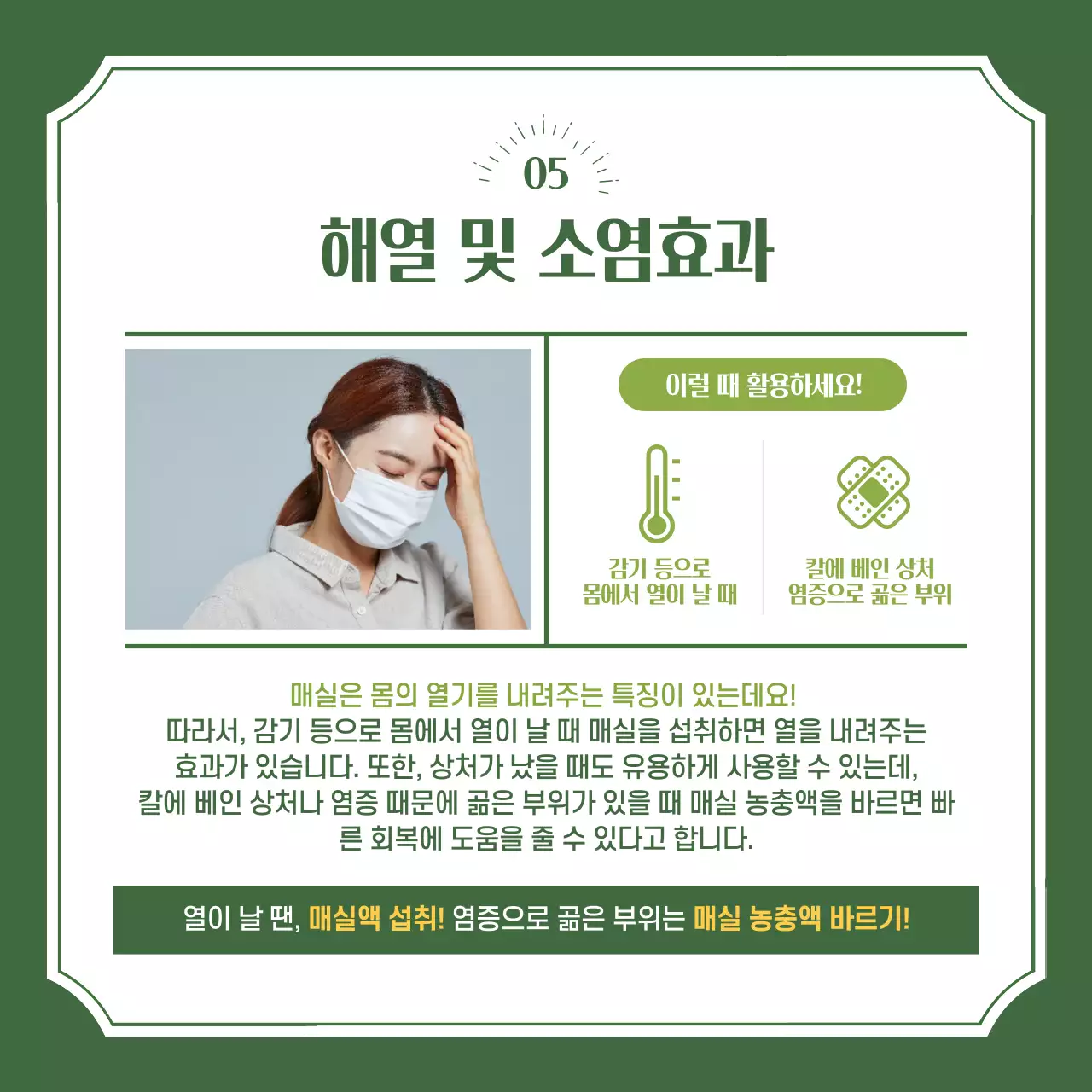 초록색 분위기의 매실의 효능 카드뉴스 디자인