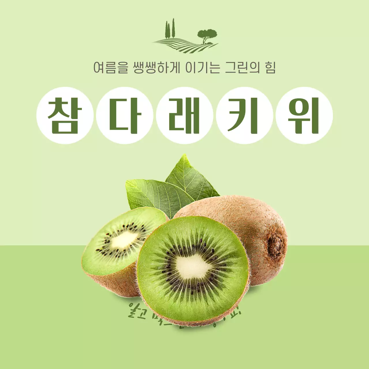 초록색 사진과 캐릭터 조합 깔끔한 컨셉의 키위정보공유 테마