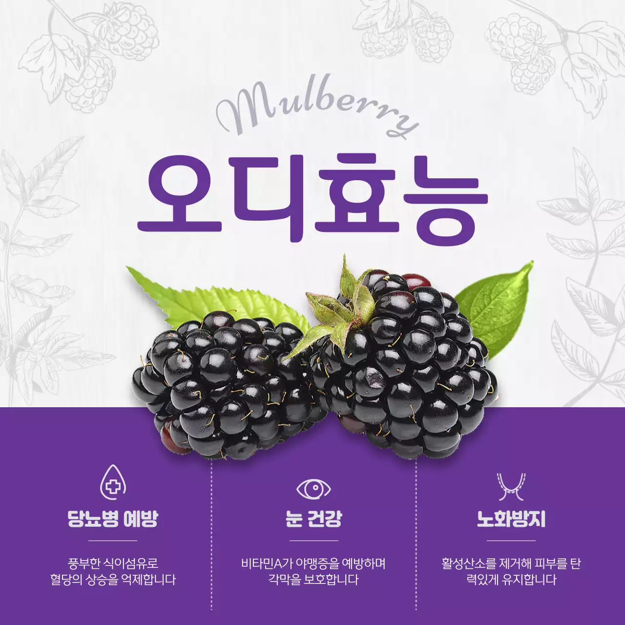 보라색 빈티지 드로잉 컨셉의 오디효능 테마