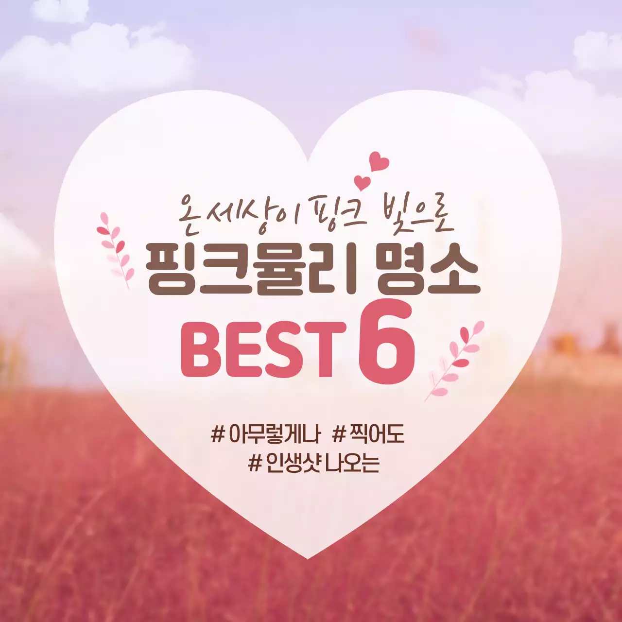 분홍색의 핑크뮬리 명소 카드뉴스 디자인